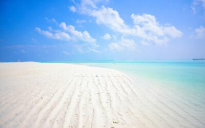 A Journey Through Madagascar’s Stunning Landscapes